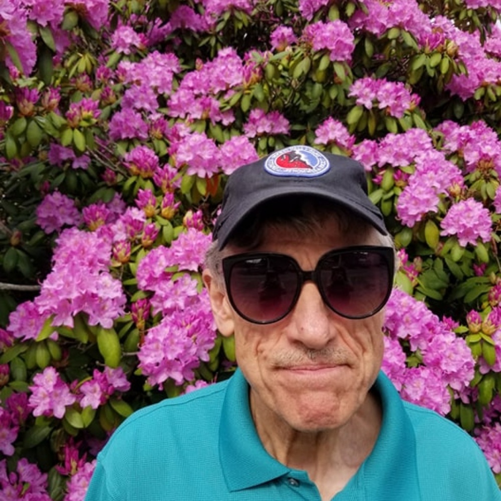 Big Bold SUNGLASSES ~ super UV protection - Picture 3 of 8
